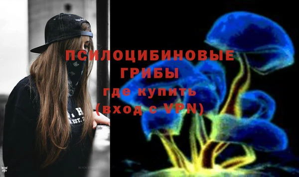 ешки Покров