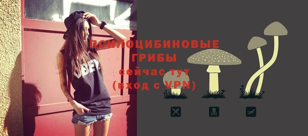дживик Гатчина