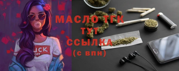 крисы Галич