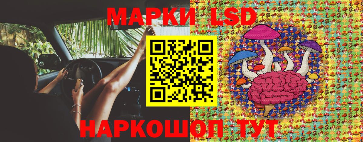Марки NBOMe 1,8мг  Вход с VPN  Марки NBOMe 1,8мг  Марки NBOMe  Сальск 