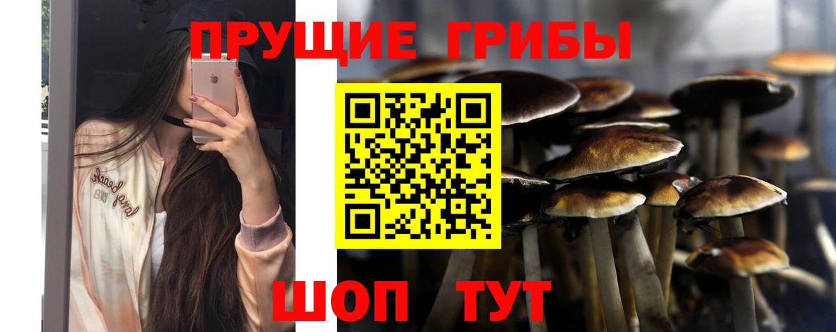 Галлюциногенные грибы мухоморы  Вход с VPN  Галлюциногенные грибы мухоморы  Сальск 