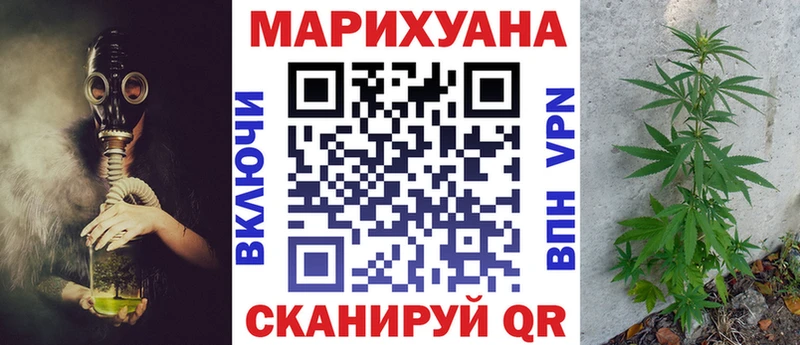 Шишки марихуана марихуана  Сальск 